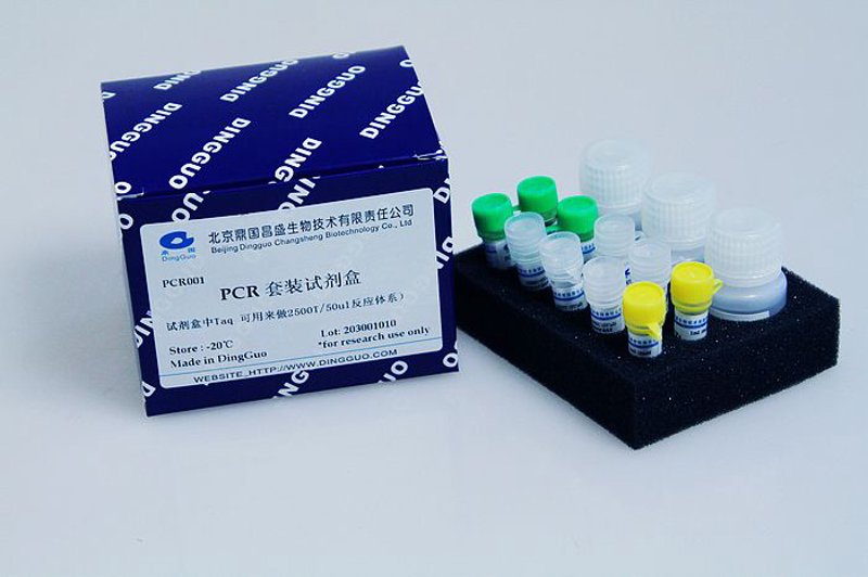 生物技术的发展前景如何?
